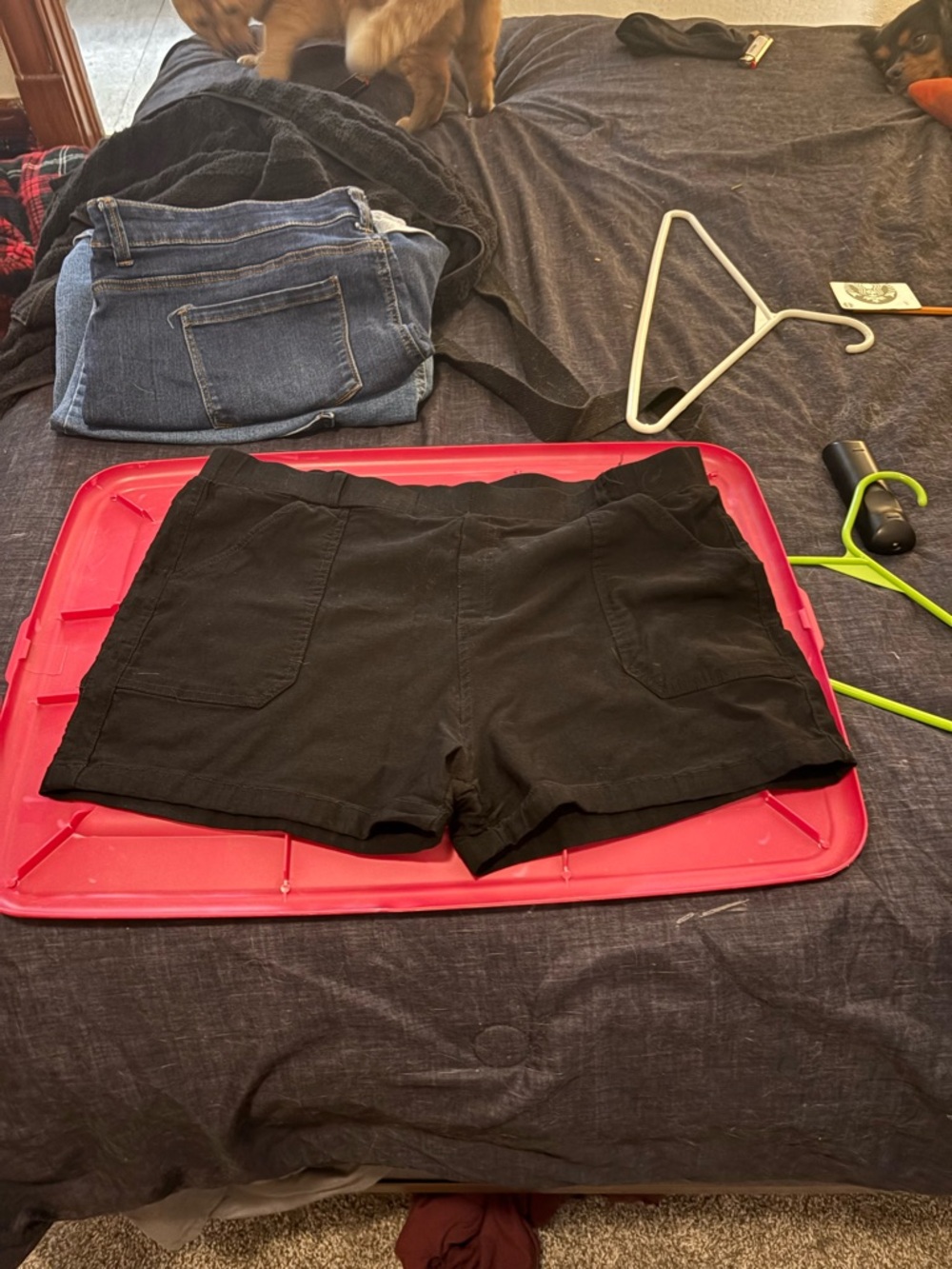 Women’s Black Pull-On Casual Shorts